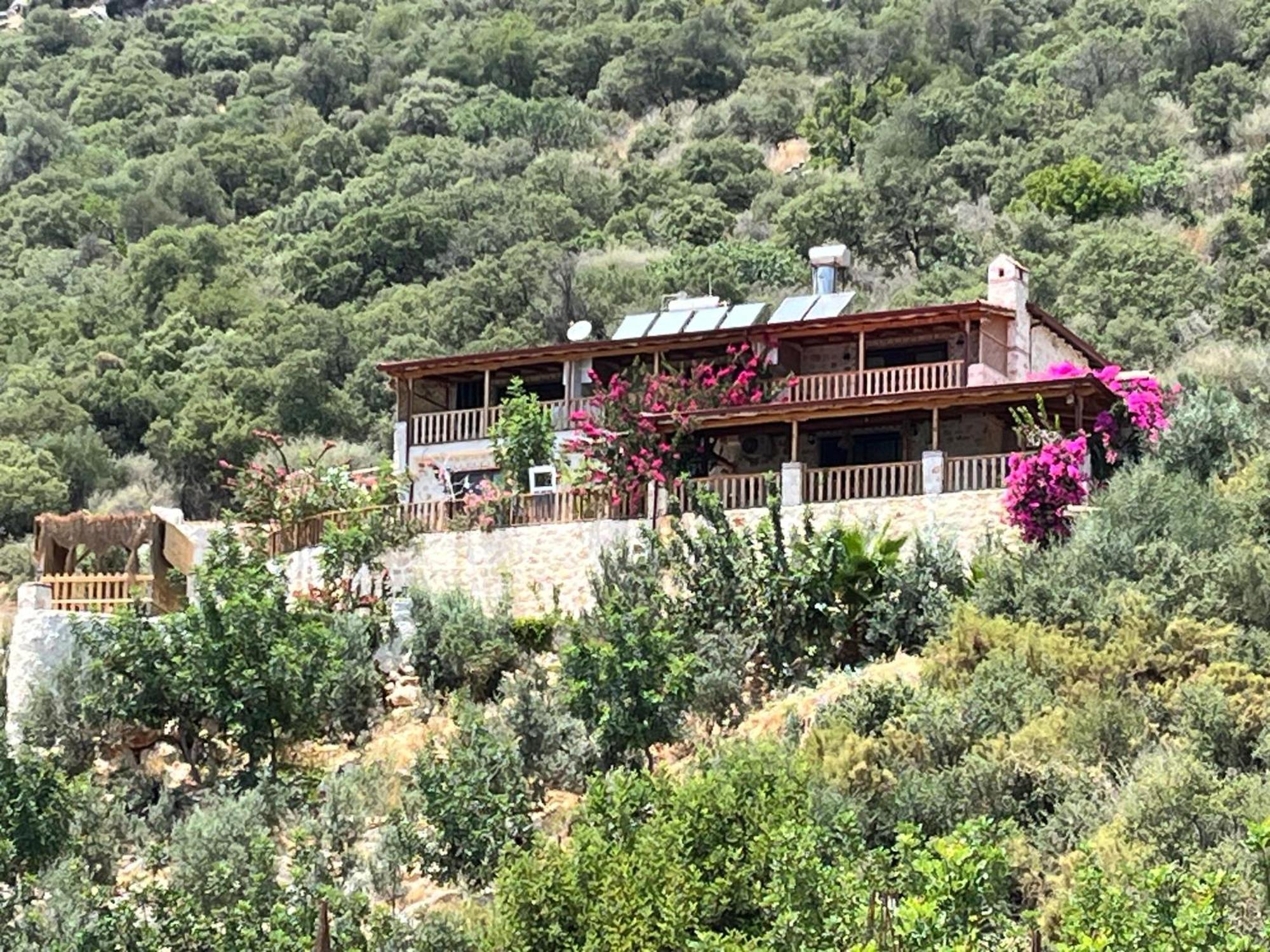 Istlada Tas Ev Apart - Kekova View Kapakli Exterior photo